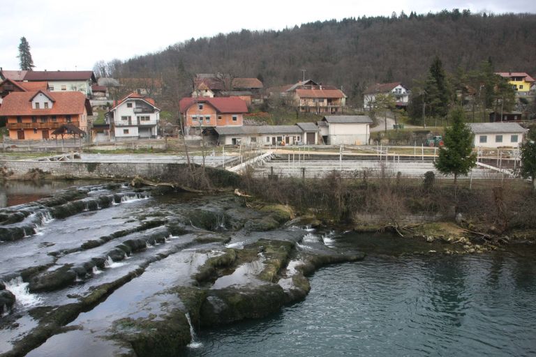 dvor_02.jpg