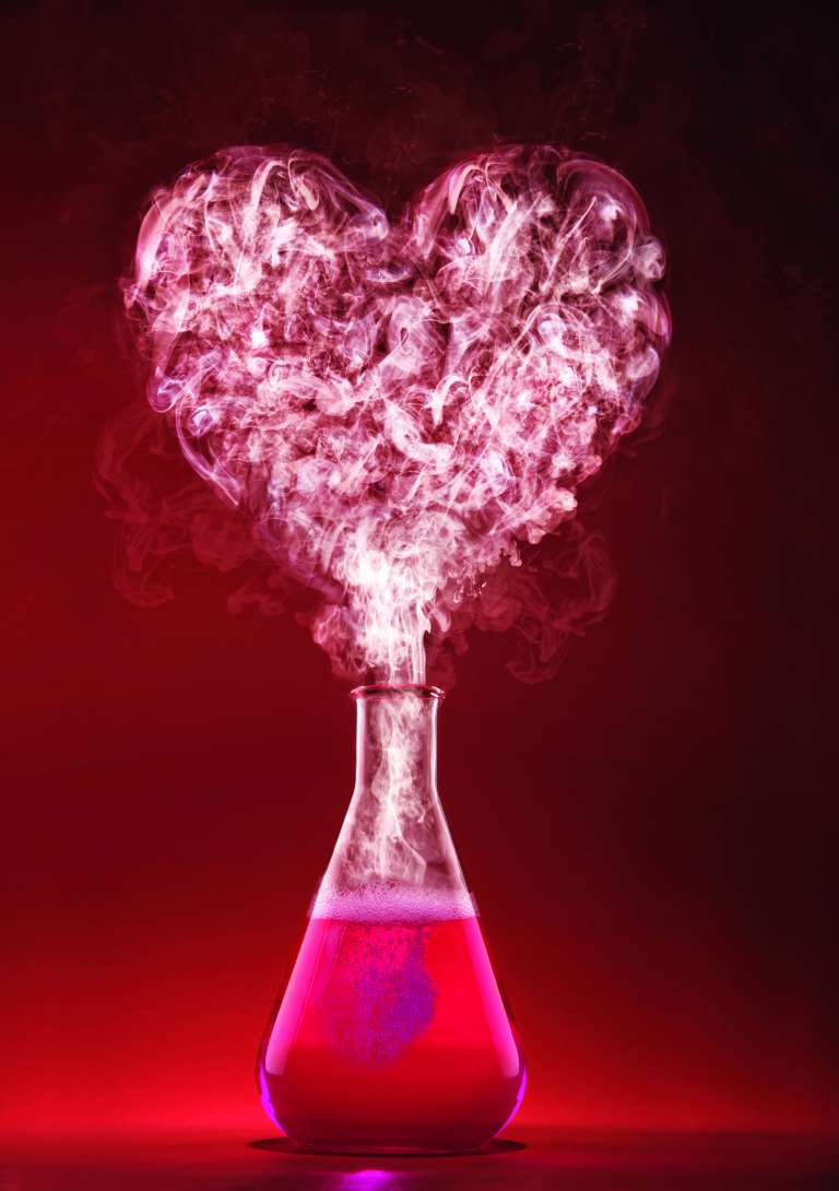 shutterstock_244556140.jpg
