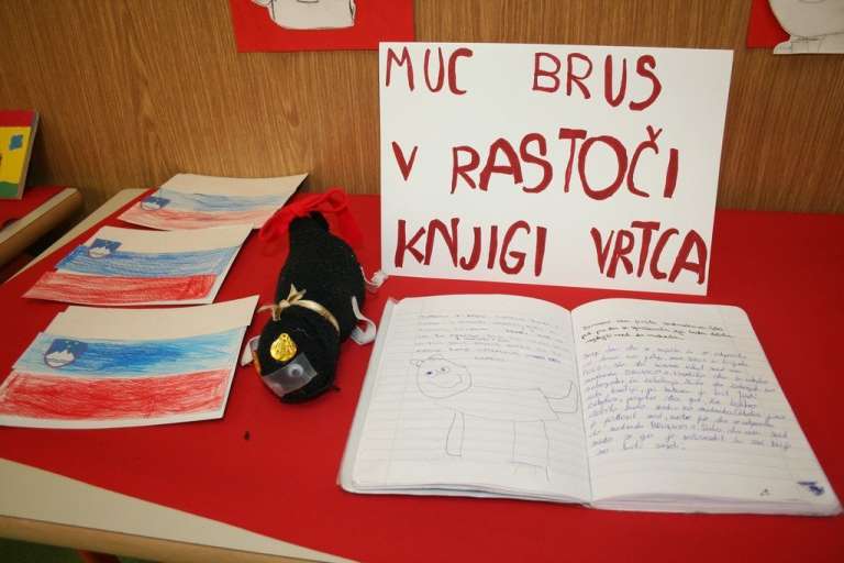 rastoca_brusnice___03.jpg