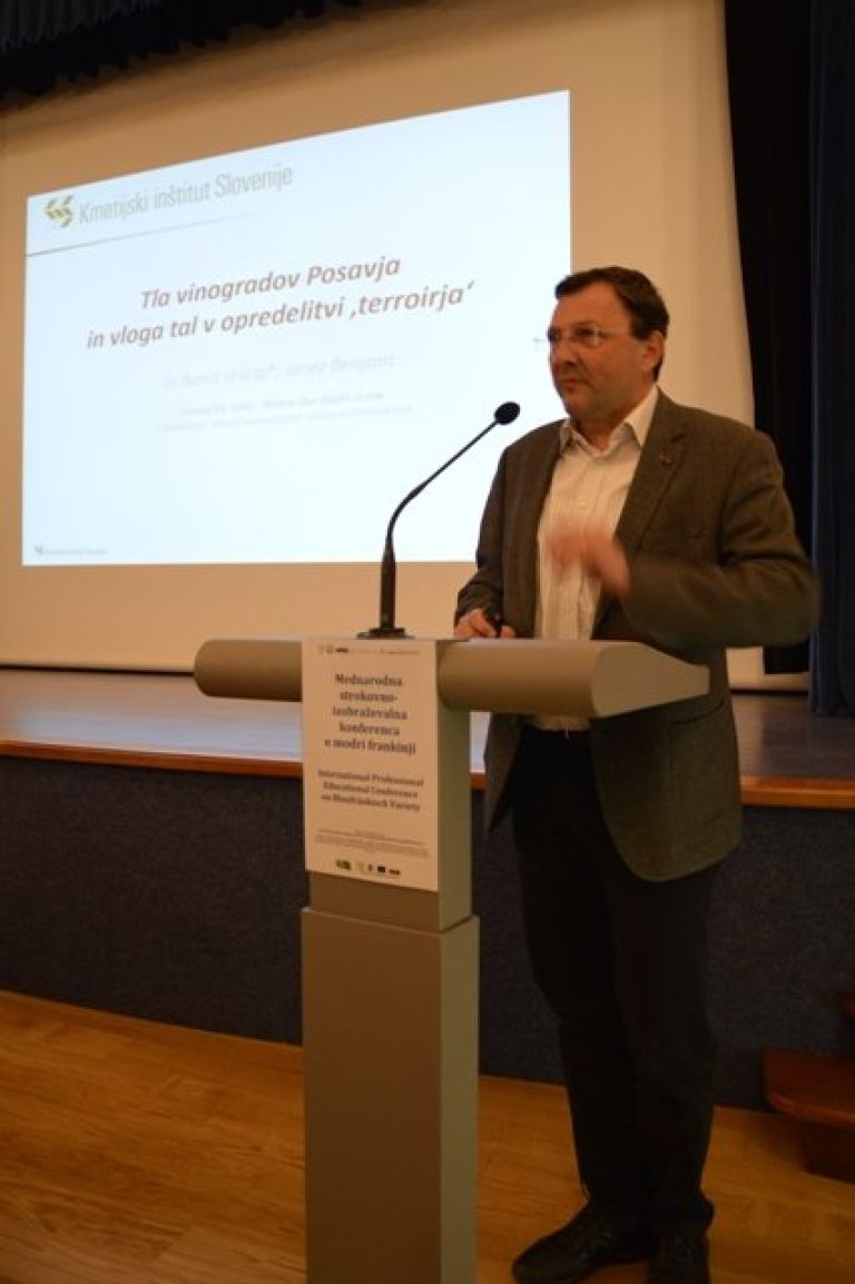 borut_vrscaj.jpg