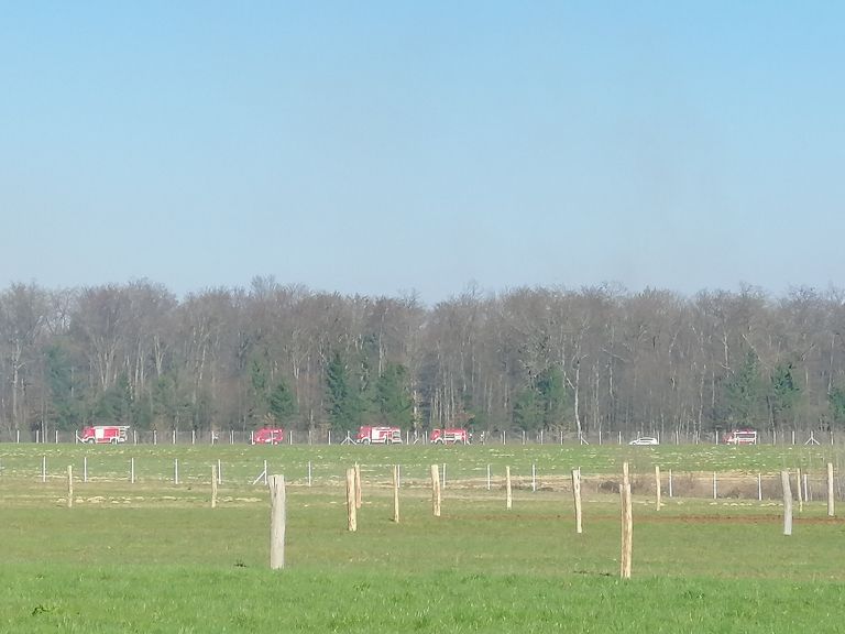 img_20190323_144421.jpg