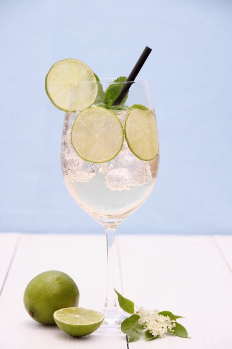 bezgov gin tonic.jpg