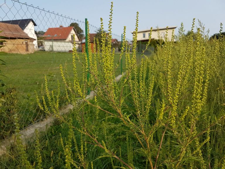 d80859989cf028687bc08e098b18d74e.jpeg