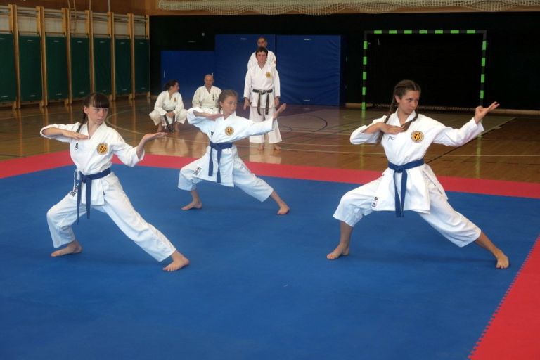 _zzzzzzzzzkarate__13_.jpg