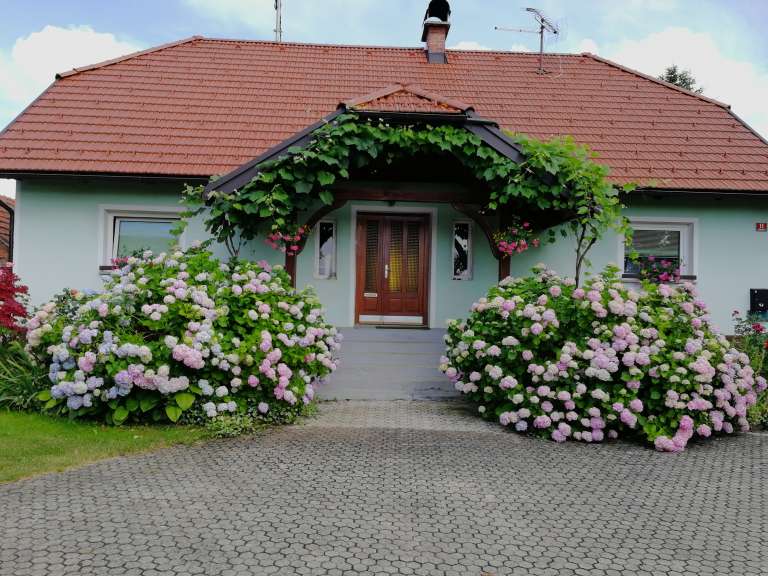 roze__1_.jpg