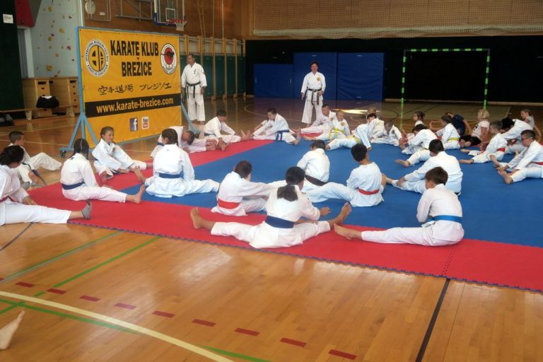 _zzzzzzzzzkarate__1_.jpg