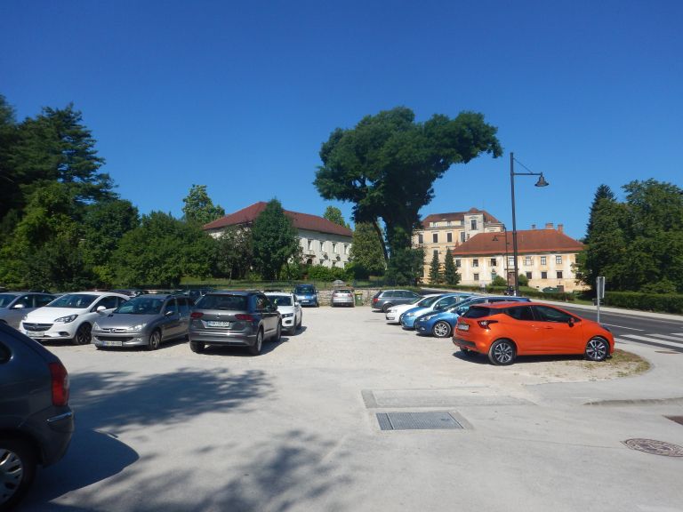 20190628_02767_000.jpg