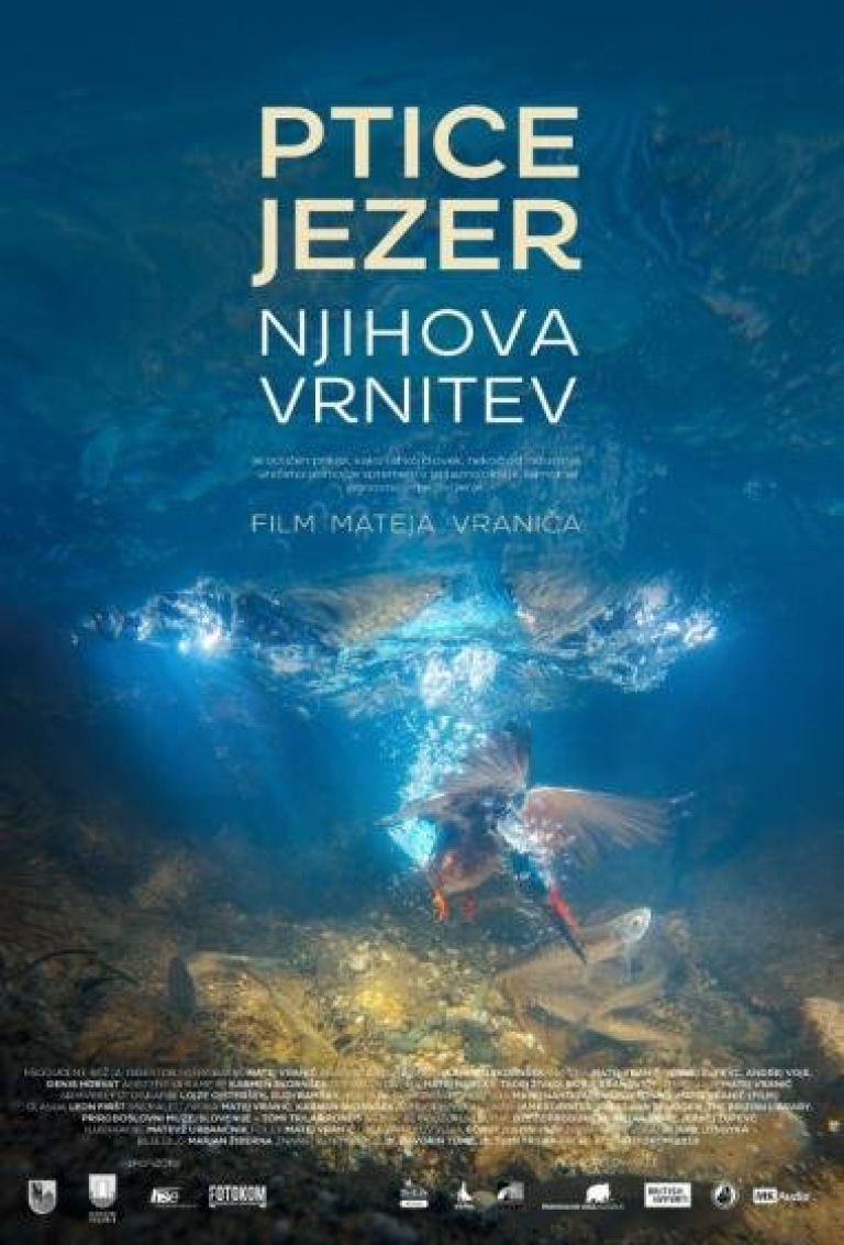 _zzzzzzzzzkino__1_.jpg