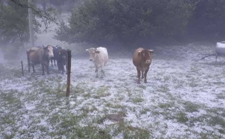 brezovica_pri_predgradu_stane_staudohar.jpg