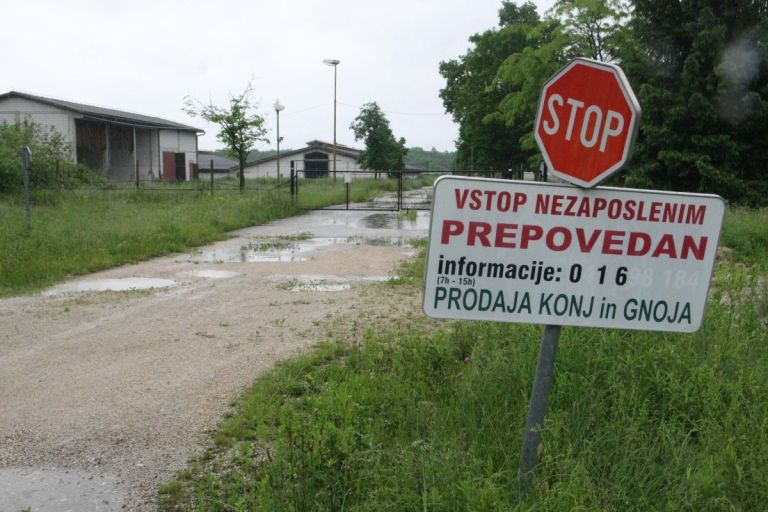 posestvo_vitacel.jpg