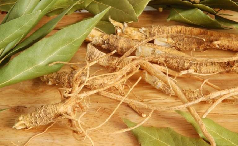 naravno suma root.jpg