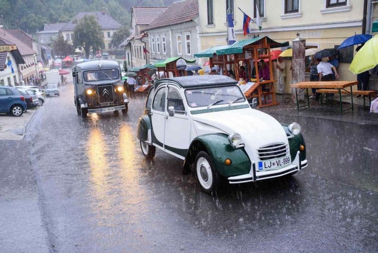 anin_sejem18.jpg