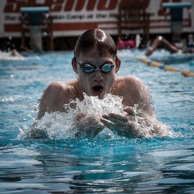 swimming_1272538__340.jpg
