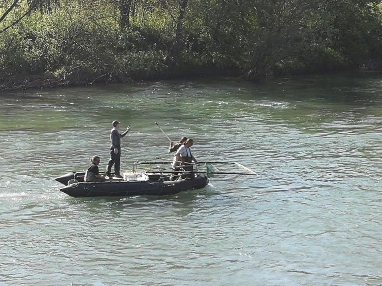 vzorcenje_rib.jpg
