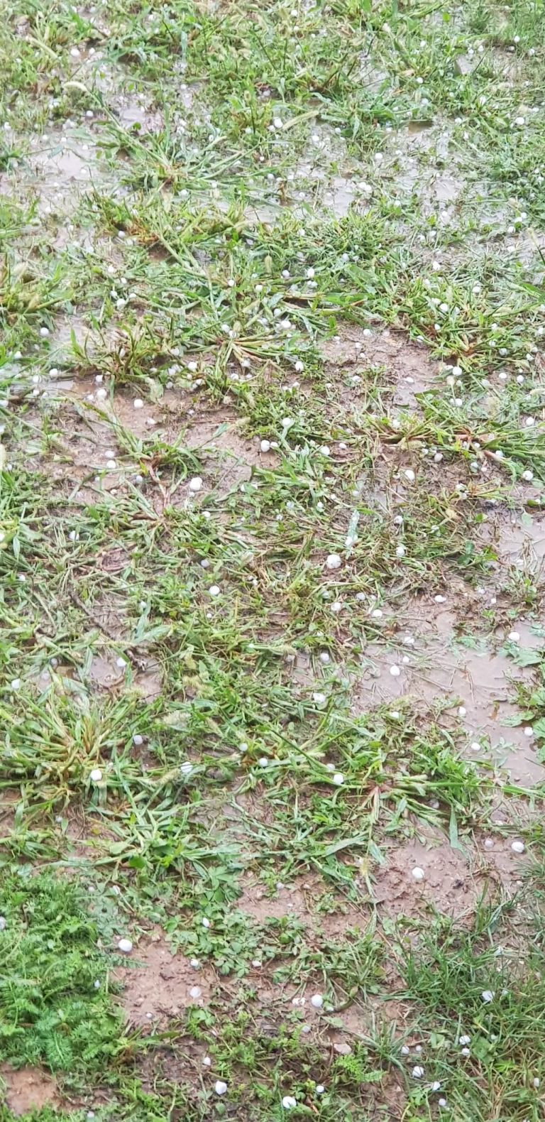 20190824_164517.jpg