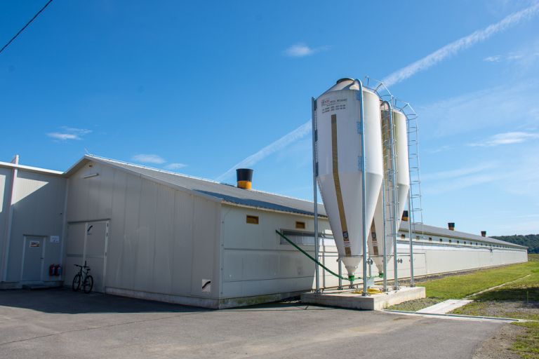 perutninarstvo, boštjan-slavič, piščančja-farma