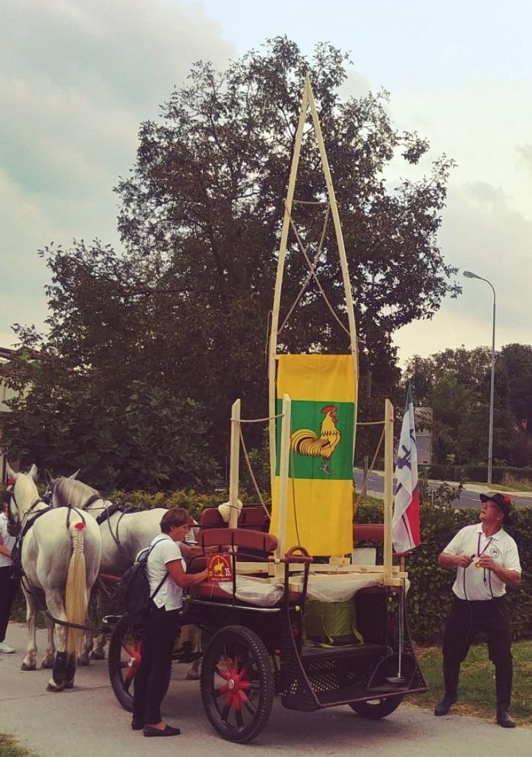 ressel_002.jpg