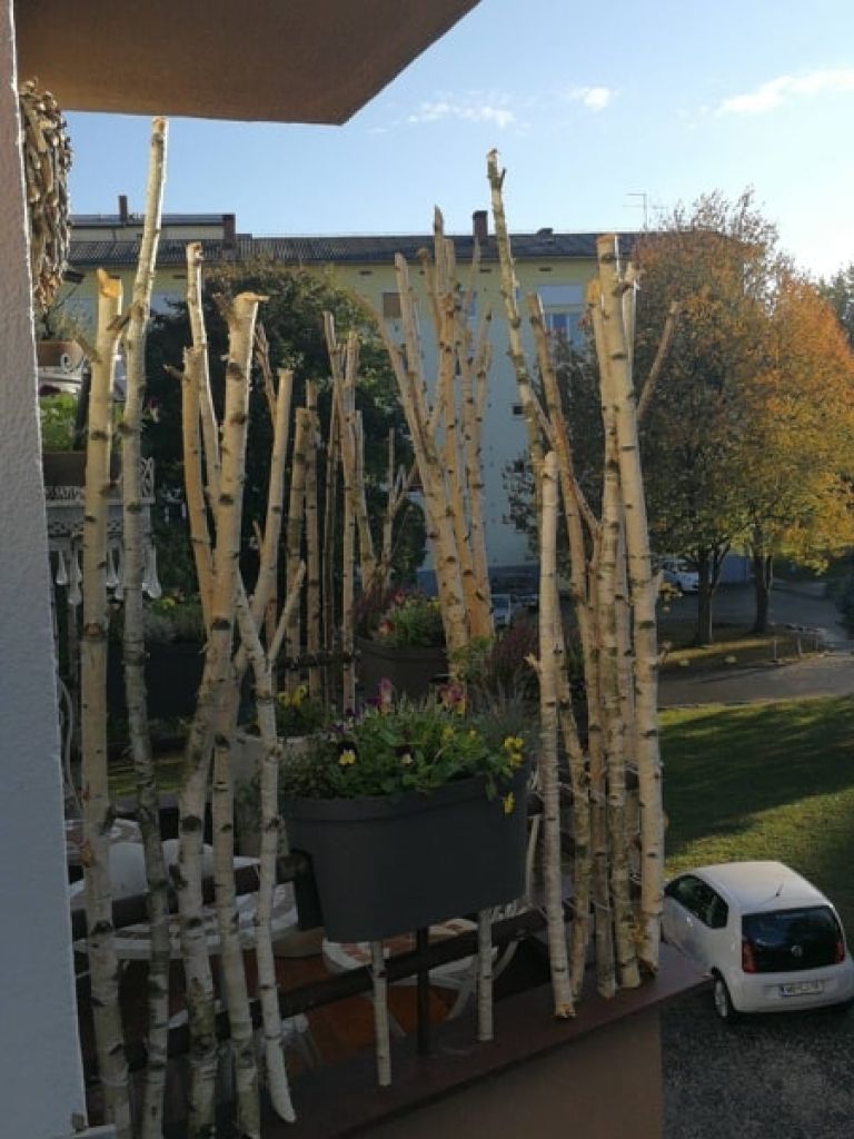 jesen, najlepši-balkon, murska-sobota, gregor-flisar, floristika