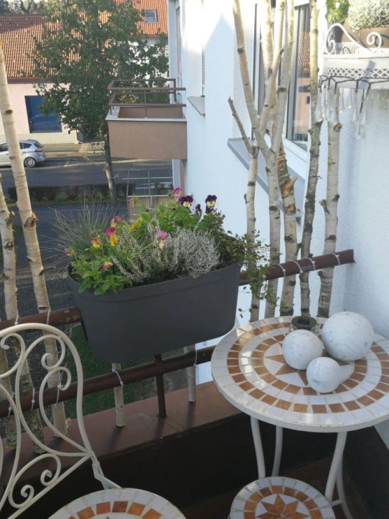 jesen, najlepši-balkon, murska-sobota, gregor-flisar, floristika