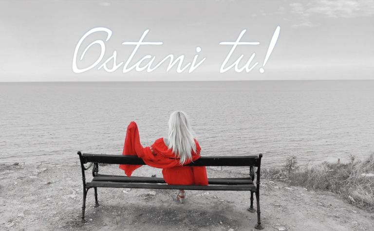 _zzzzzostani_tu___brigita_suler.jpg