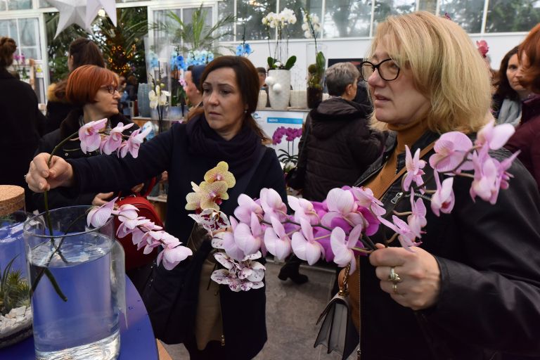 dobrovnik, dan-odprtih-vrat-ocean-orchids-tropski-vrt