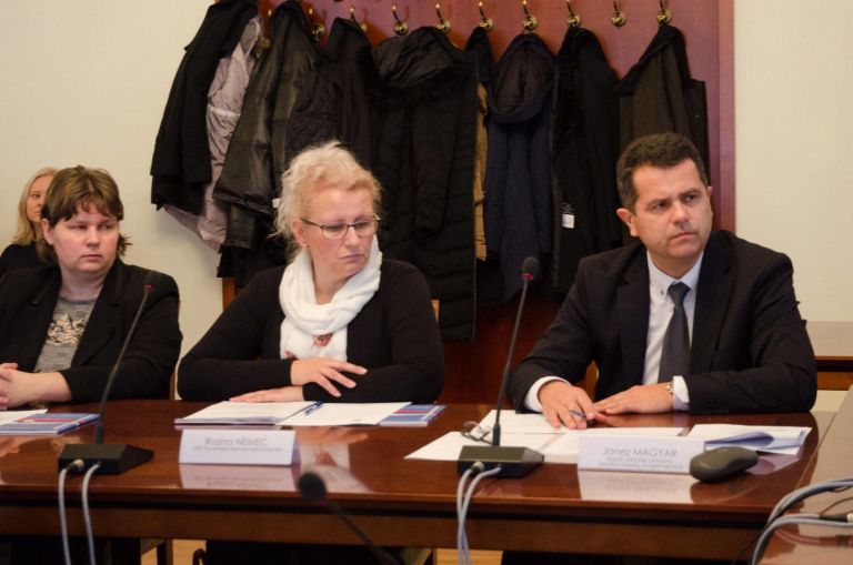 rozinanemec.jpg