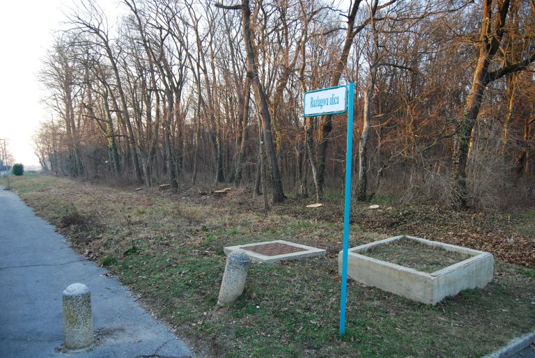 DSC_0219.JPG