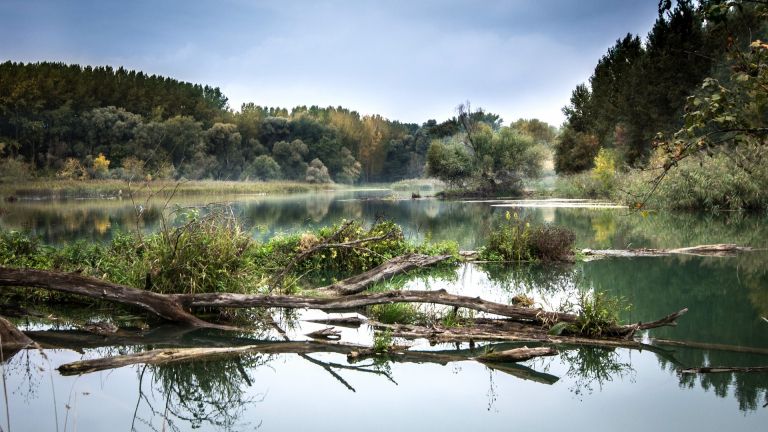 mokrišča, svetovni-dan-mokrišč