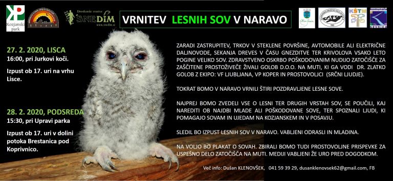 _zzzzzzzzsova__1_.jpg