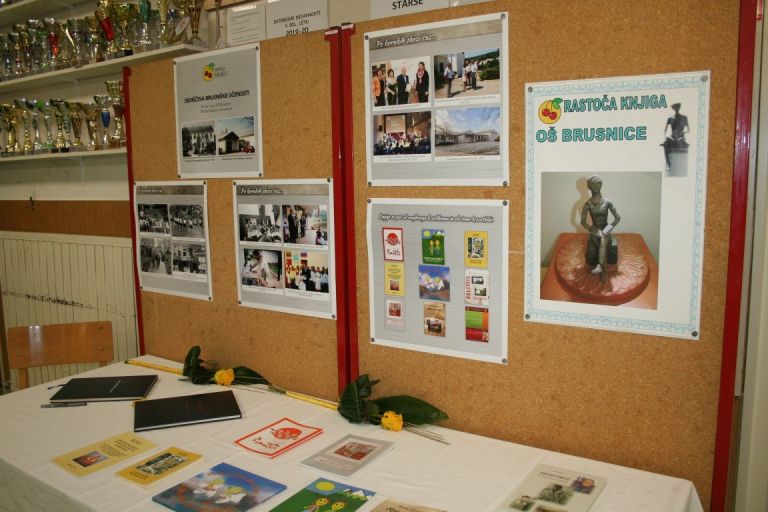 img_6308_000.jpg