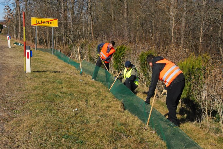 dvoživke, prenašanje-dvoživk, prostovoljci, zaščitne-mreže