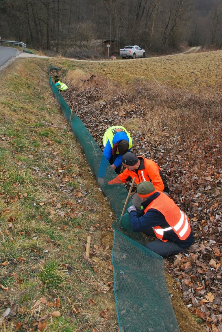 dvoživke, prenašanje-dvoživk, zaščitne-mreže, blaguš