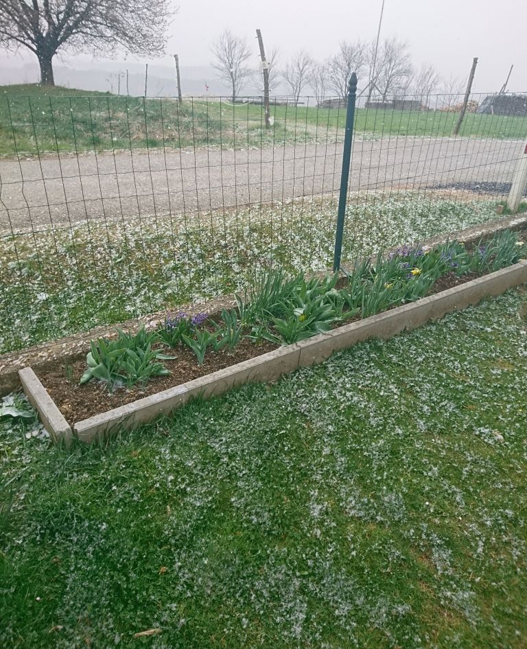 goričko, sneg, pomlad