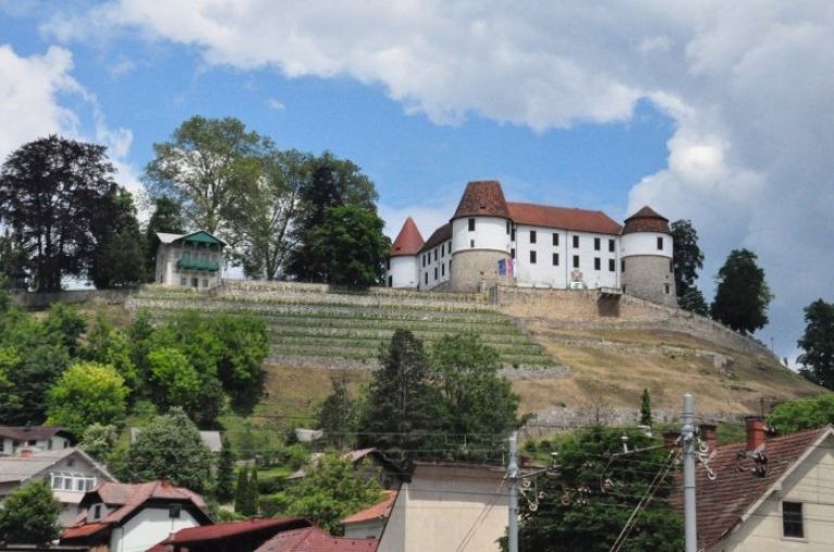 s_sevnica_grad.jpg