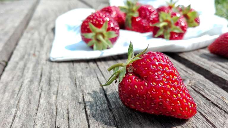 jagode