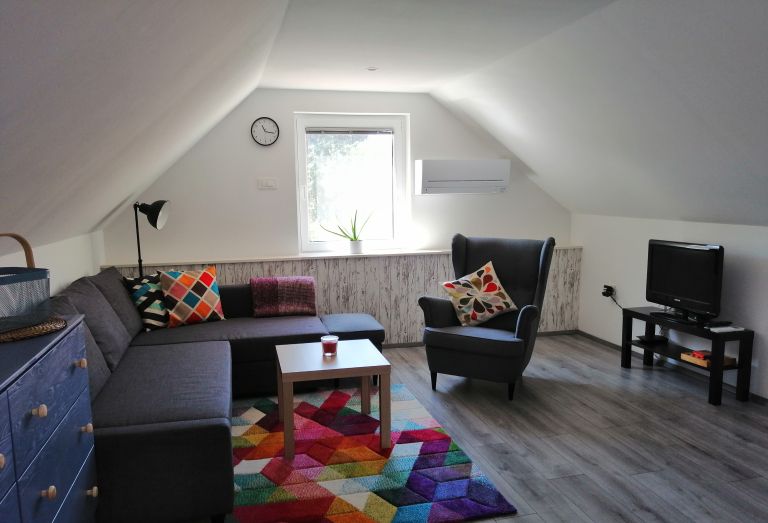 apartmaji-kokoro, bogojina, goran-tešić