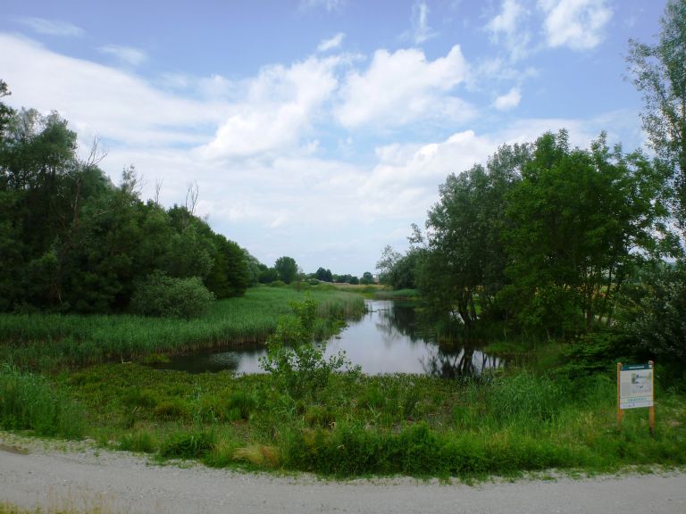 V preteklosti revitalizirana mrtvica Petišovsko jezero (arhiv ZRSVN).jpg