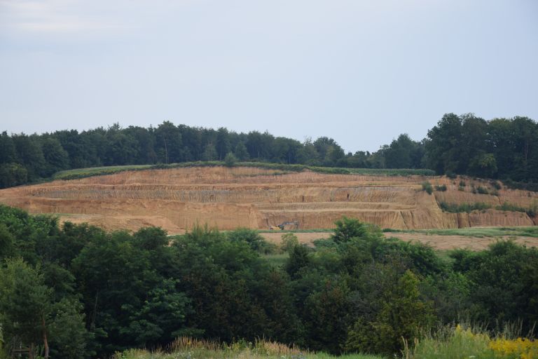 peskokop, Kuštanovci
