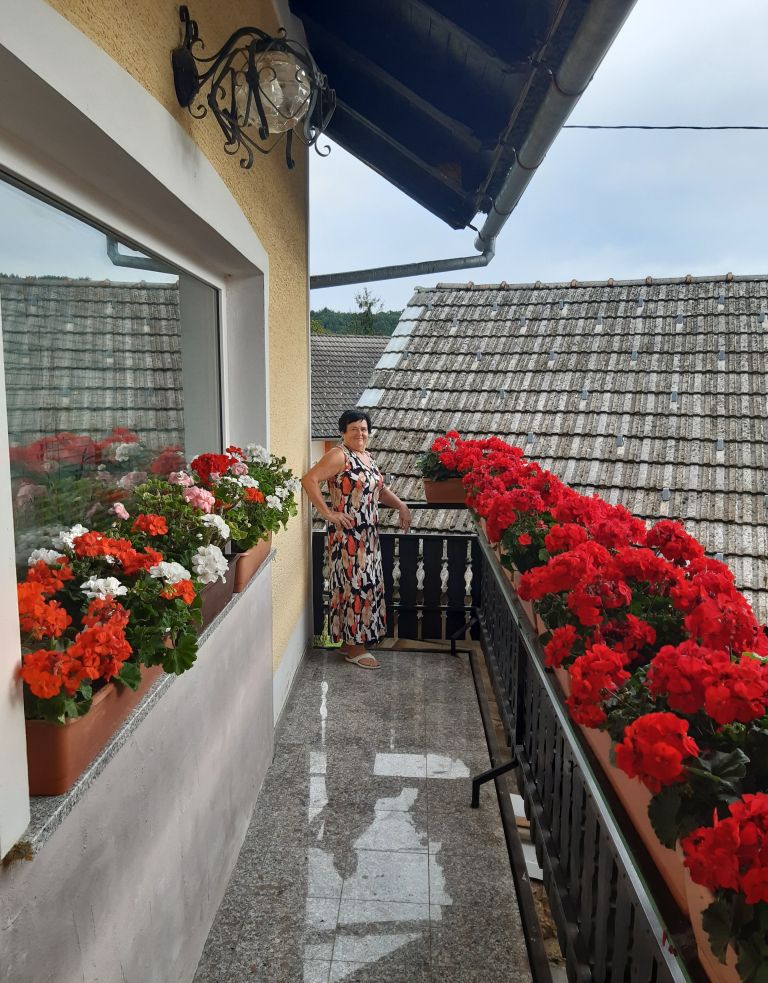 roze.jpg