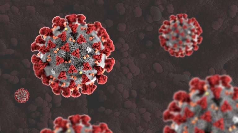 coronavirus.jpg