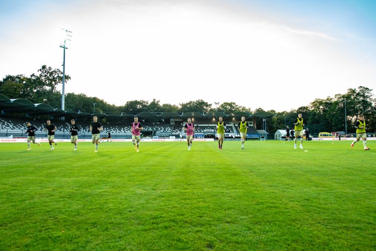 mura, psv, fazanerija