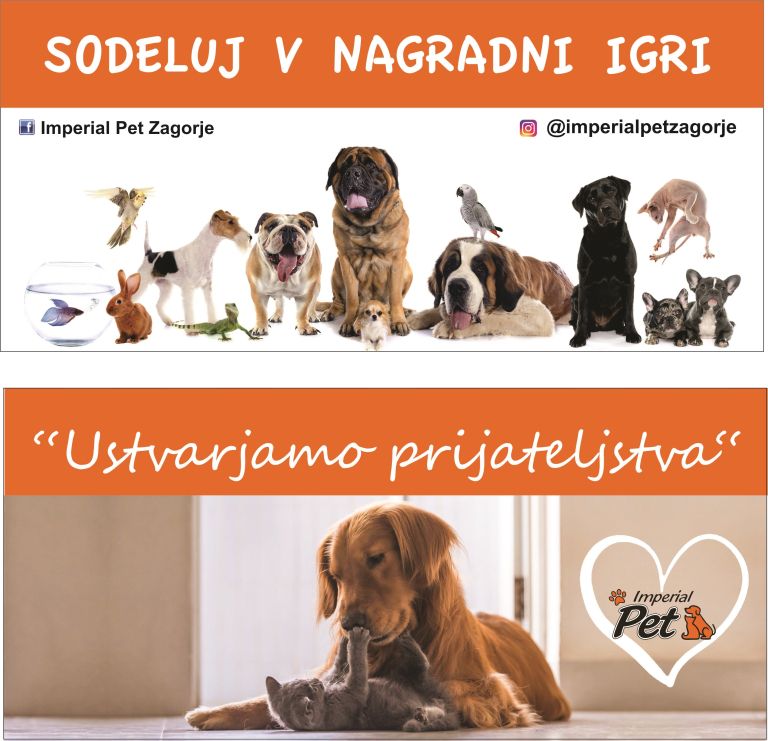 stekla-v2.jpg