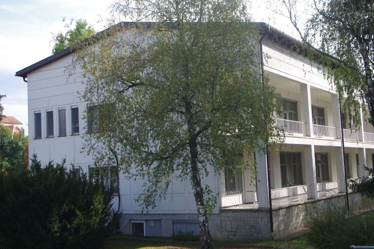 d40_zdravstvopljucna.jpg