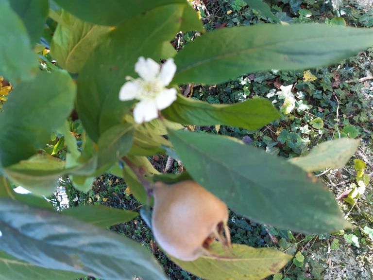 20201031_110901.jpg