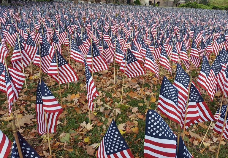 PATRIOTISM-3328261_1920.jpeg