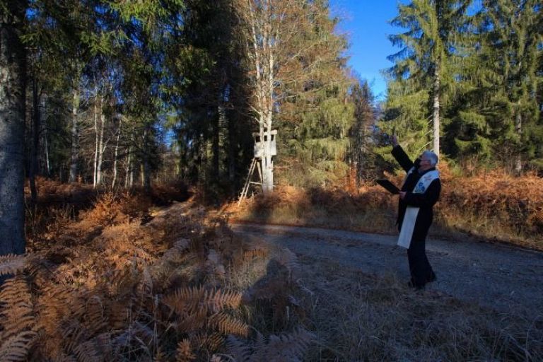 smreka_007.jpg