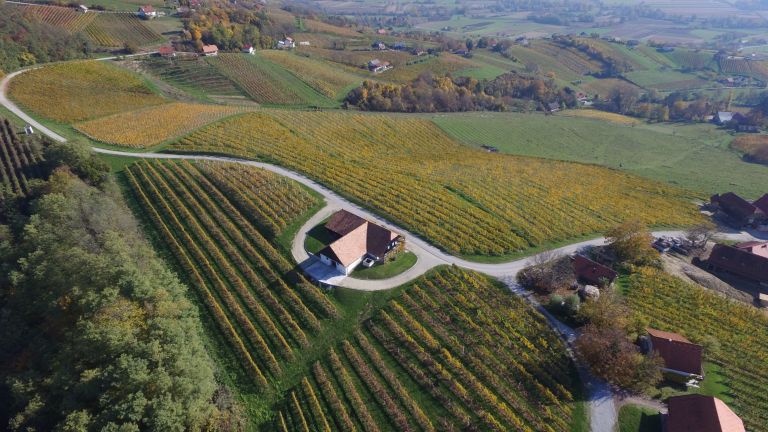 domacija_in_vinogradi__2_.jpg