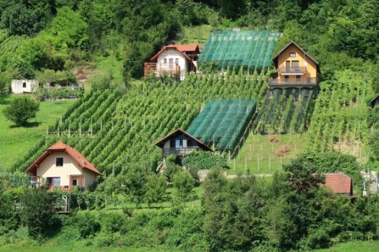 zidanice_foto_mls.jpg