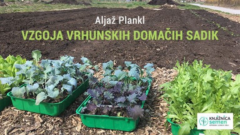 _zzzzzvzgoja.jpg