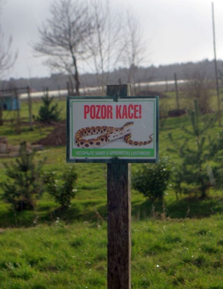 mihovica_005.jpg